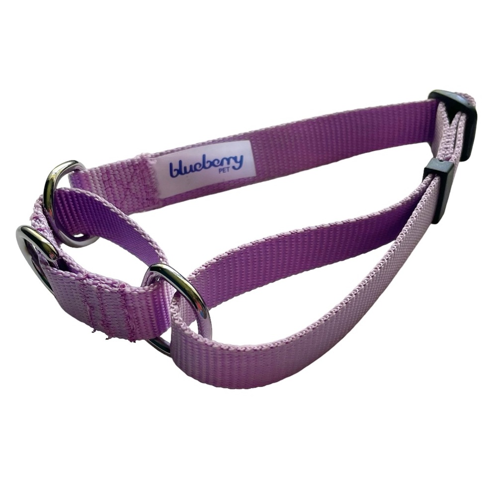 NEW Lilac Purple Martingale Dog Collar M/L NWOT Blueberry Pet - Picture 1 of 8